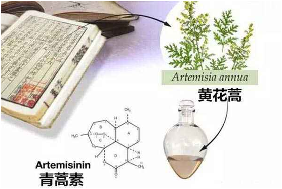 江南在线登录入口-江南（中国）
：向中医药看齐，与世界共享中医药文化(图1)